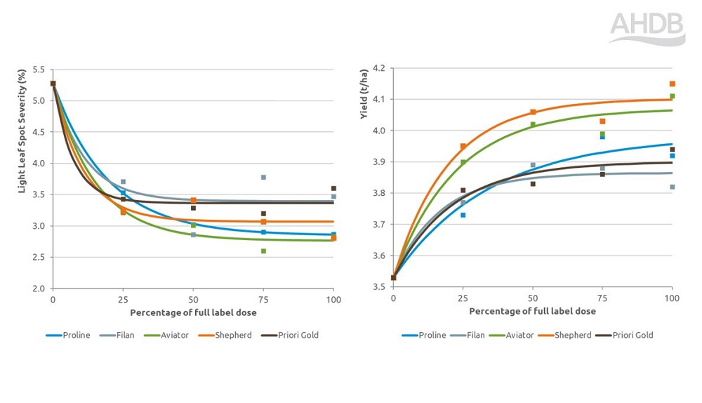 Light leaf spot disease and yield fungicide performance response chart 2024